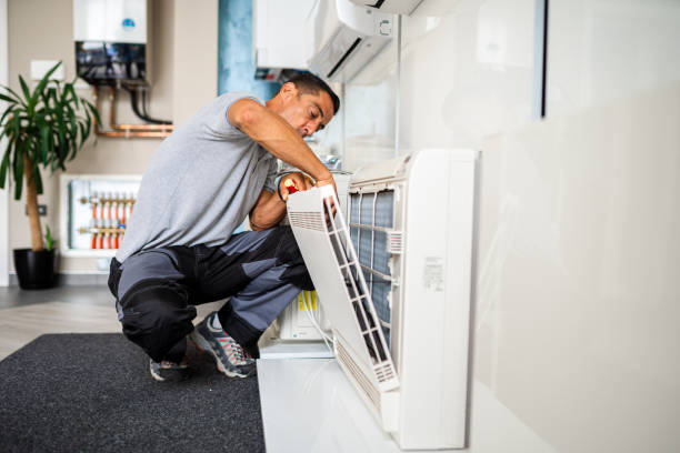 Air Duct Mold Removal in Warrensburg, MO