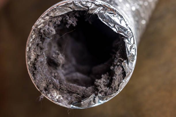 Best Duct Cleaning for Offices  in Warrensburg, MO