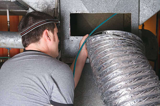 Best Air Duct Mold Removal  in Warrensburg, MO
