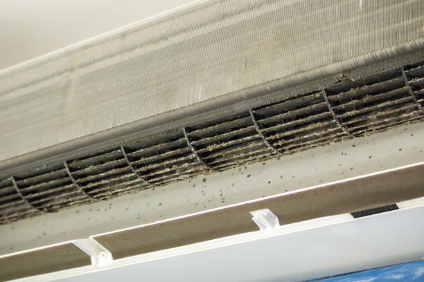 Best Affordable Air Duct Cleaning  in Warrensburg, MO