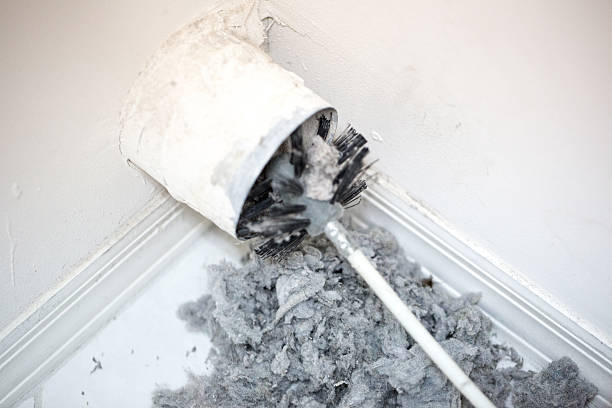 Best HVAC Air Duct Cleaning  in Warrensburg, MO